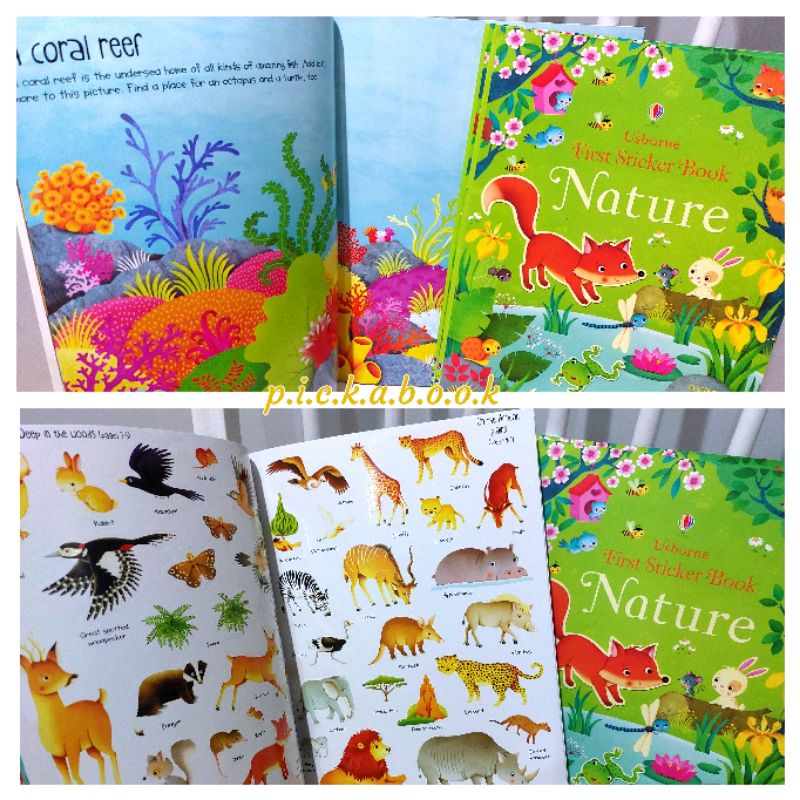 usborne first sticker book - nature