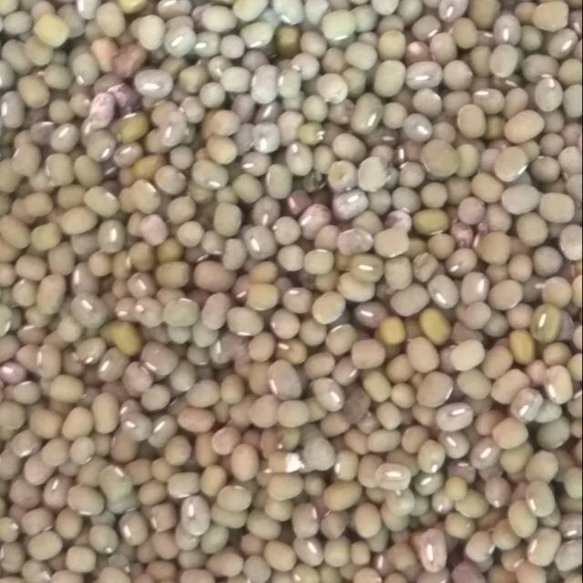 

Kacang Hijau 1 kg