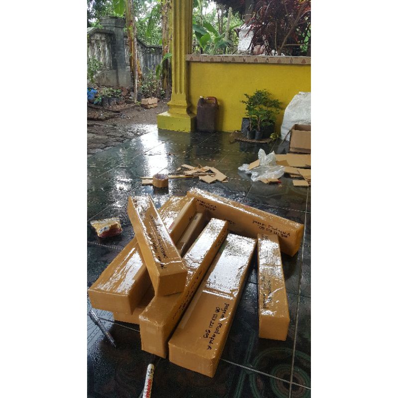 10 batang anggur lokal