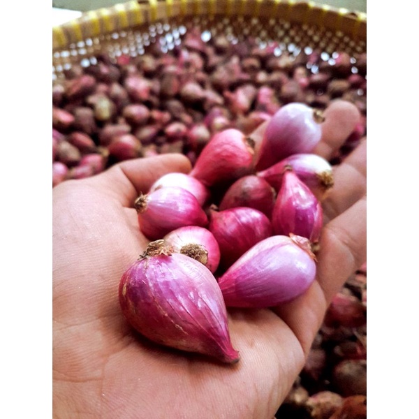 

bawang merah asli brebes ukuran besar berat 250g