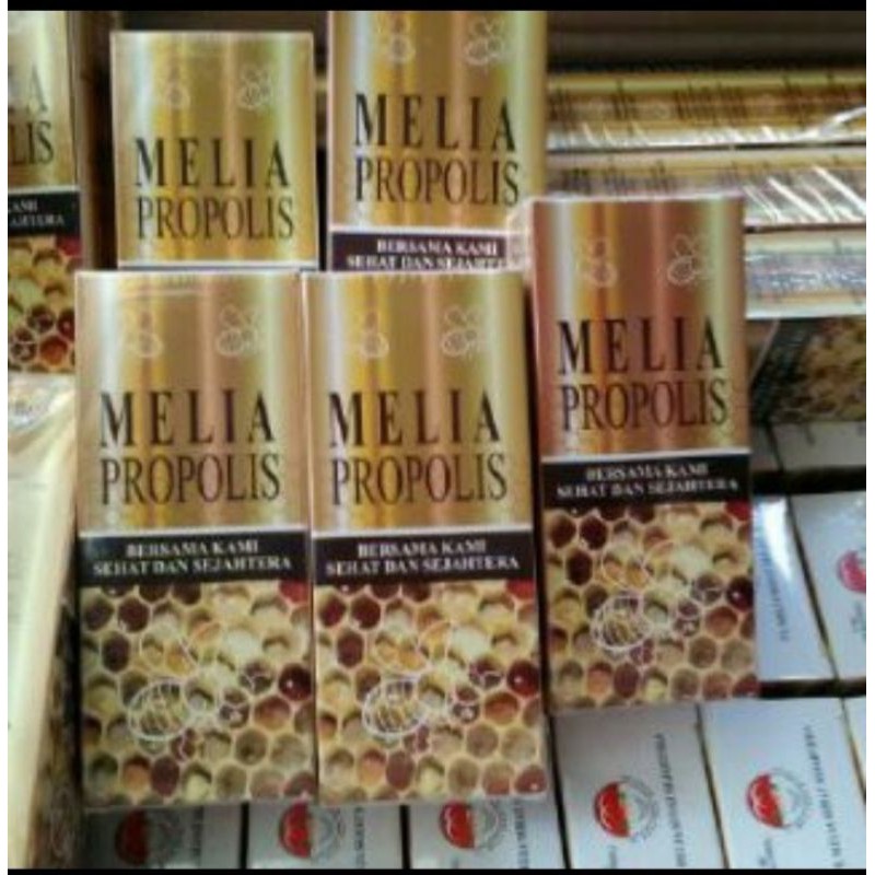 Melia propolis (ASLI)