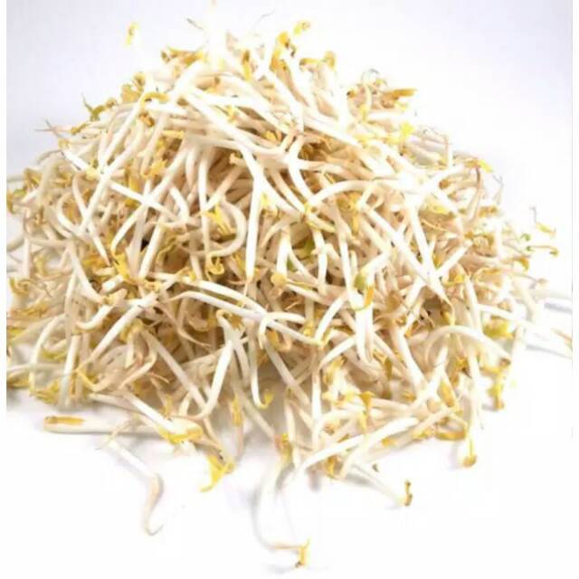 

Tauge - 250 gram
