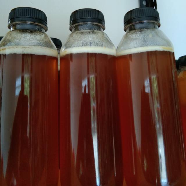 

Madu Multiflora Asli Pati