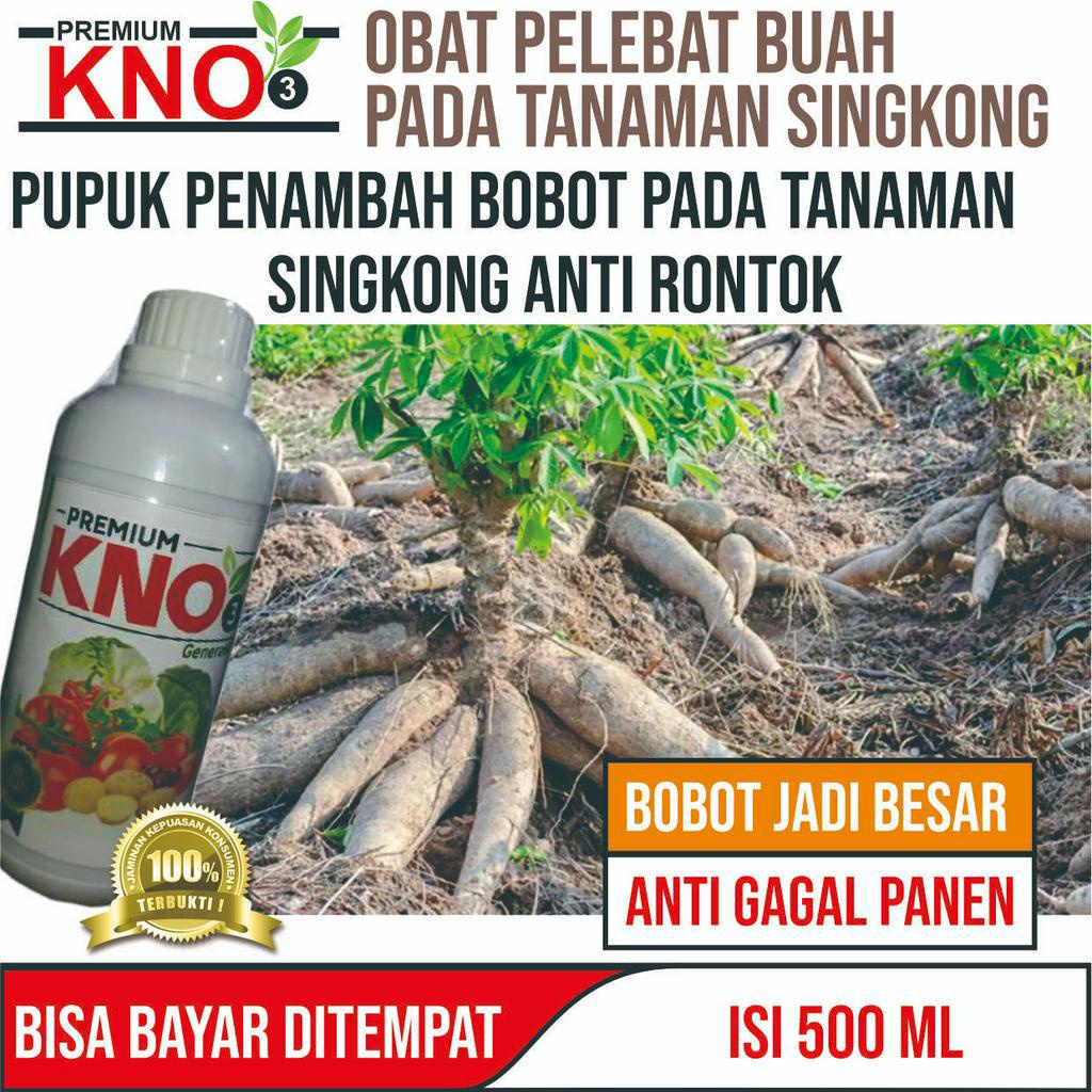 PREMIUM KNO3 Pupuk Pelengkap Cair Plus Pupuk Pembesar Umbi Singkong - Pupuk Pelebat Buah Singkong - 