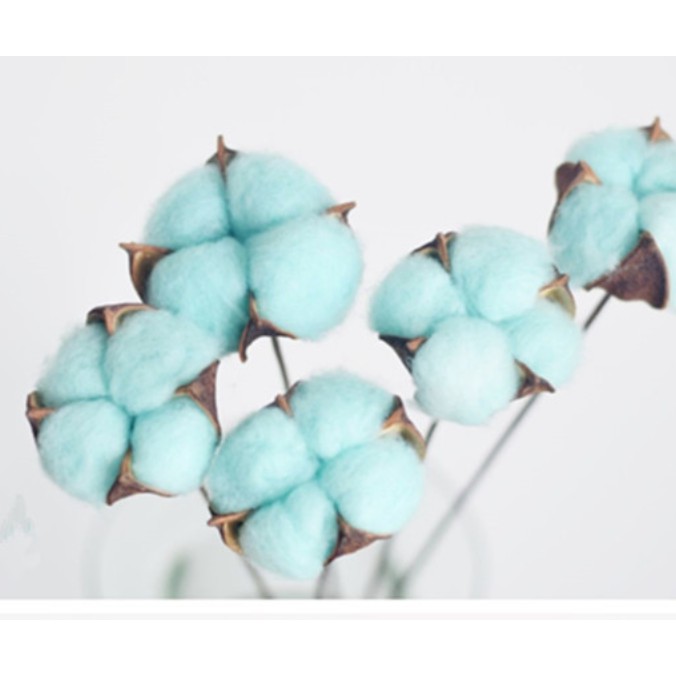 Cotton Flower Bunga Kapas Asli Single Stem Dekorasi Hiasan Bunga Artificial per tangkai-HIJAU