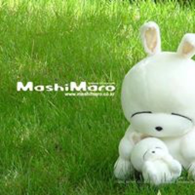 moshimaruchan