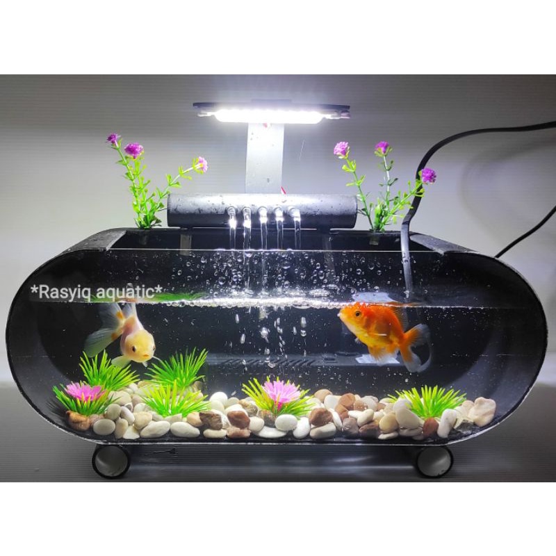 Jual Promo Aquarium Akrilik Pvc Minimalis Air Mancur Fullset Ikan Hias Cupang Shopee Indonesia