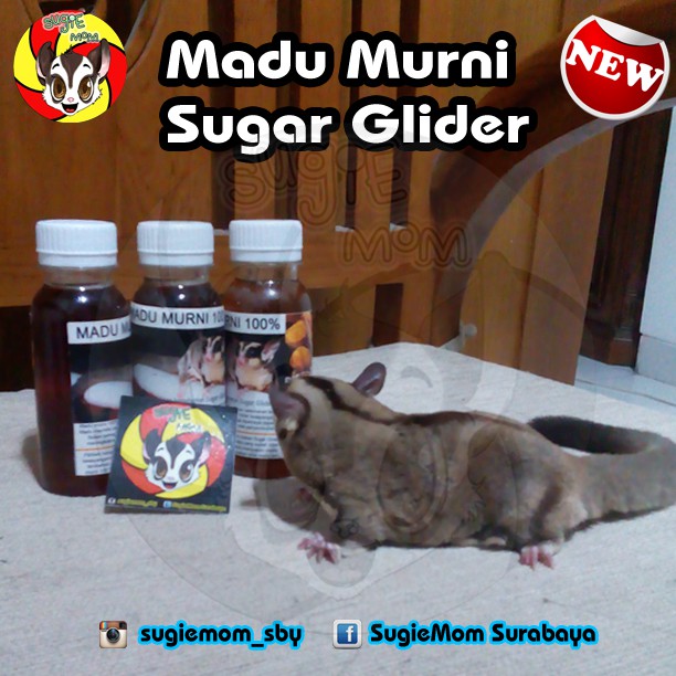 

Madu Murni