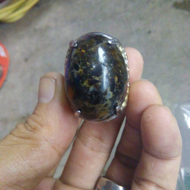 Pirus hitam situbondo/blacktitus