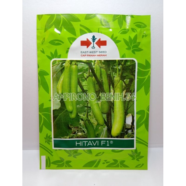 Benih Terong Hijau Hitavi 5 Gram || Cap Panah Merah