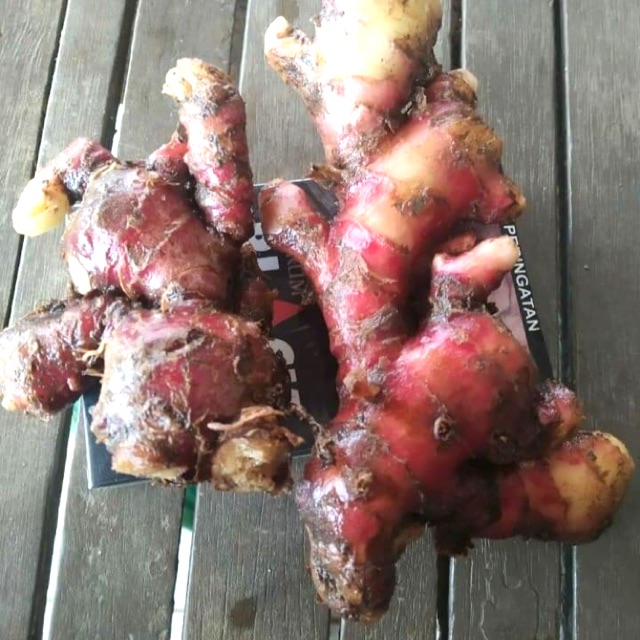 

Jahe merah cegah corona ( 500gr )