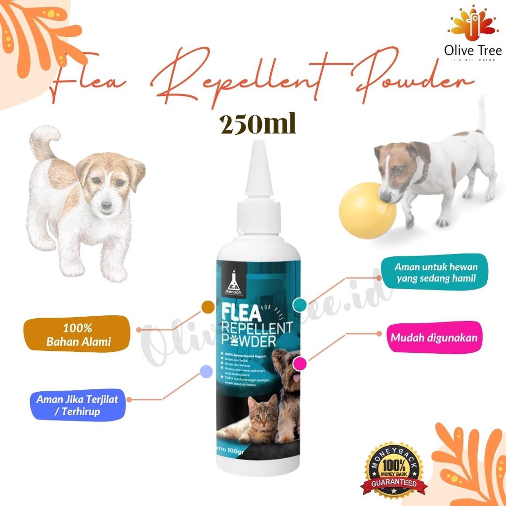 Flea Repellent Powder RACOON Bedak Pencegah Kutu Hewan Anjing Kucing Anti Kutu Obat Kutu