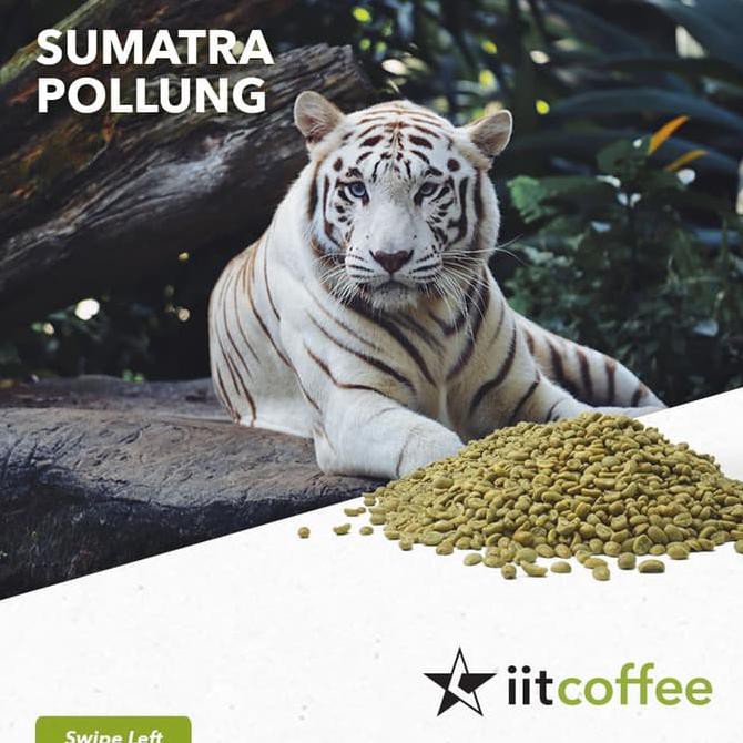

Arabica Green Beans - Sumatera Pollung Estate Semi Washed 1Kg