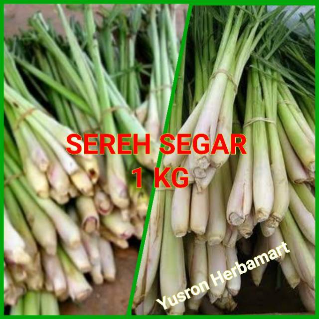 BATANG SERAI  SEREH SEGAR 1 KG