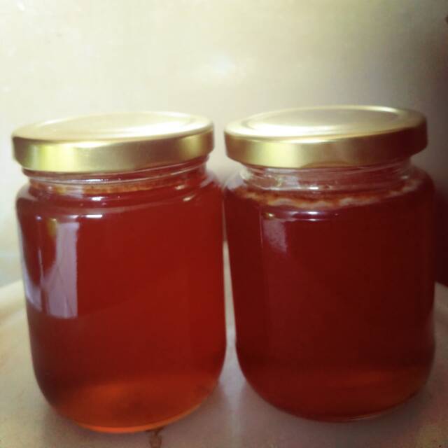 

Madu MJ hutan timor