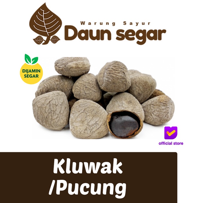 

Kluwak keluwek Pucung Kepayang Rawon bahan rawon murah Per bungkus 250gram Dijamin Gaada kopong - daun segar daunsegar