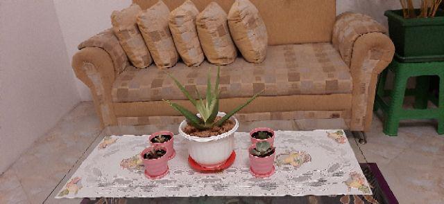 Pot Plastik Vas Bunga Vas Cantik  Pot Bunga Plastik Tanaman Hiasdekorasi Dan Perlengkapan Rumah