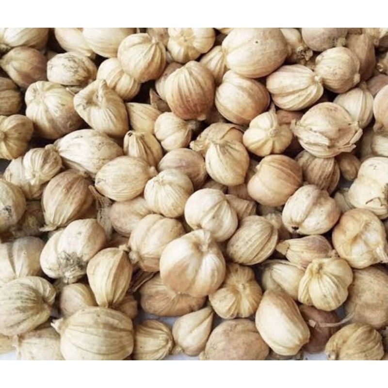 

KAPULAGA/ CARDAMOM KAPOL KERING | REMPAH DAN BUMBU | MURAH 50g