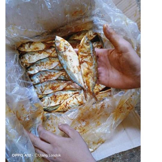 

IDp6P0b--ikan asin peda merah sedang fresh; 500gram