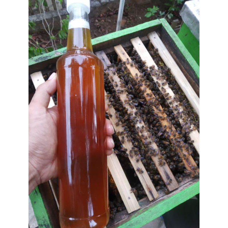 

madu murni