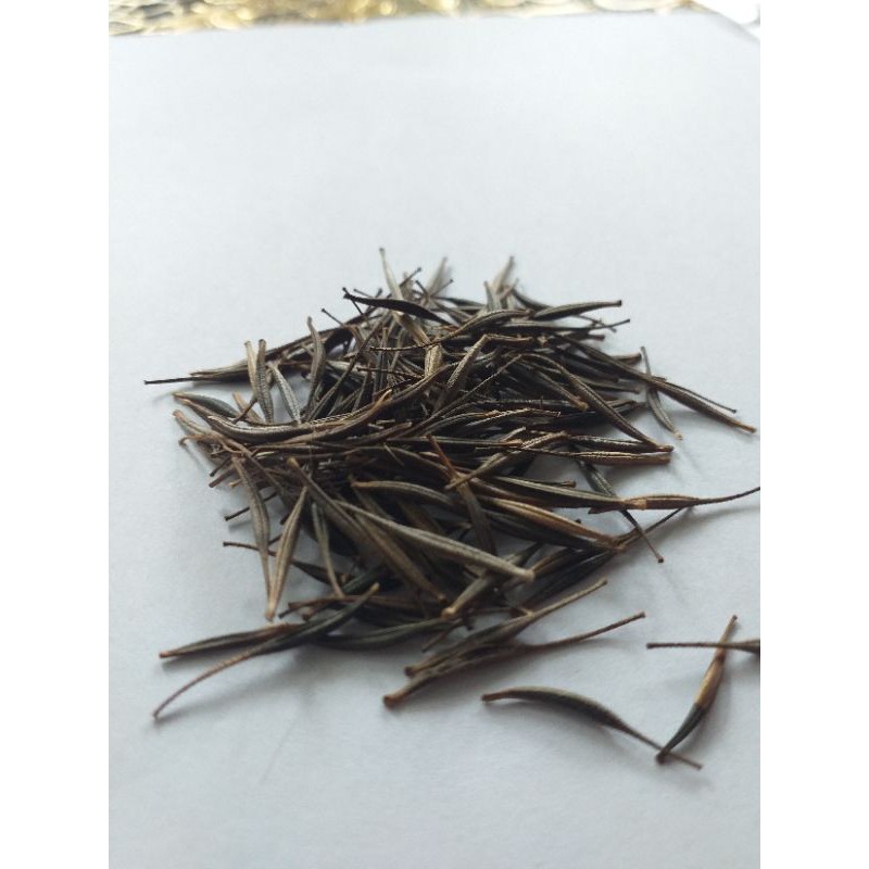 Bibit PohonCosmos/Benih/Biji/Ecoprint