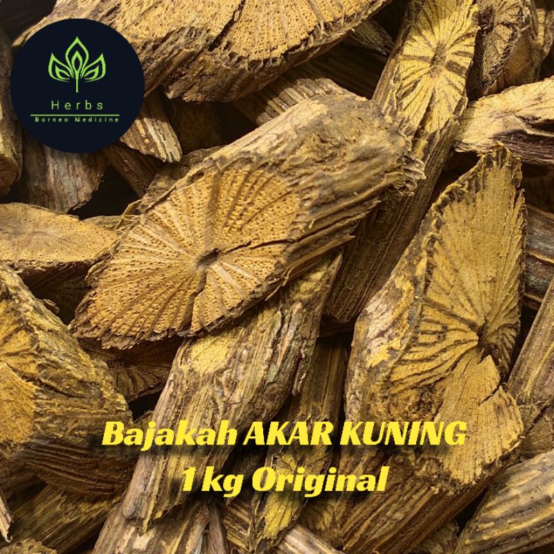 

Akar Bajakah-Akar bajaka-kayu bajakah-kayu bajaka-bajakah-bajaka[AKAR KUNING] Asli 100% AMPUH [1 Kg]