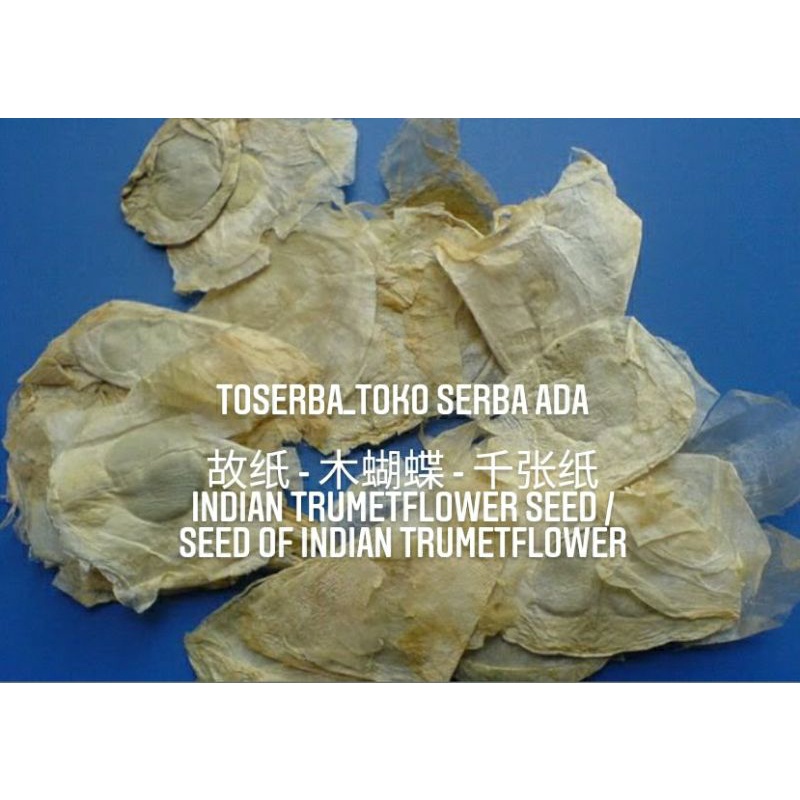 

100gr Herbal Gu Zhi Qian Zhang Zhi 故纸 千张纸 Indian Trumetflower Seed Premium Grade