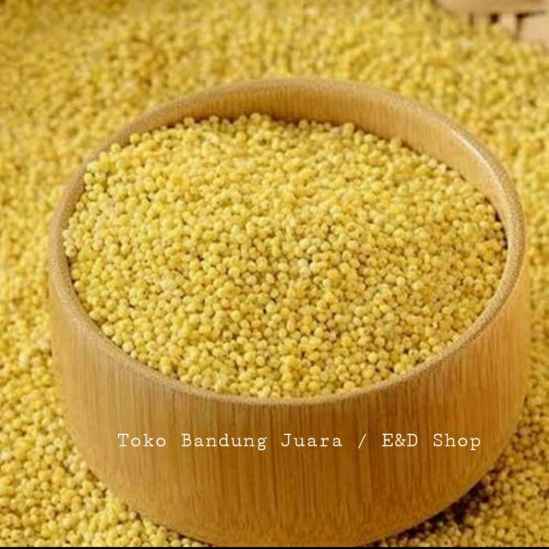 

Ay00! BiJI KUNYIT / BiJI JAWAK / Jewawut / Sekoi / Foxtail Millet KEMASAN 1KG