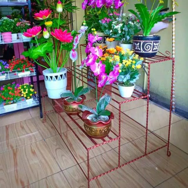 Tanaman Hias Keladi Army/caladium Army