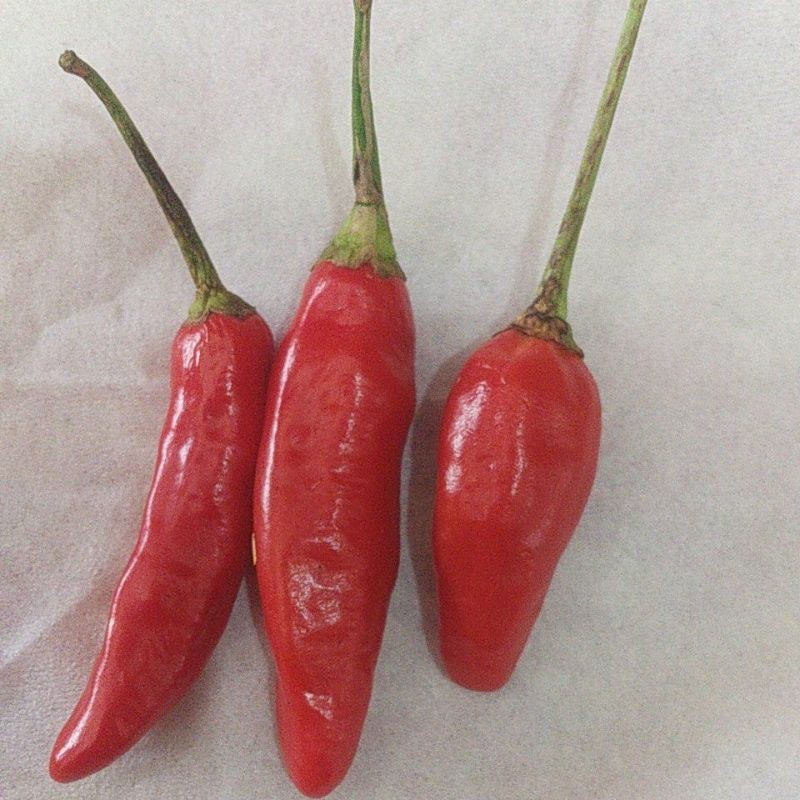 

rawit merah 250gram