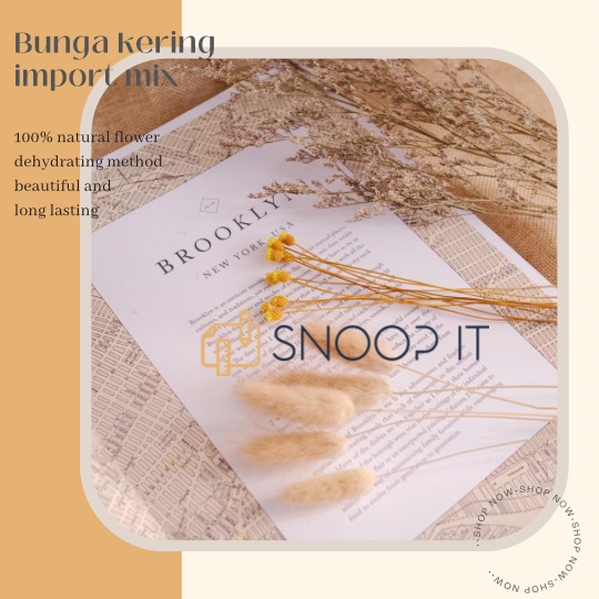bunga kering dried flower bunny tail caspea lovergrass lagurus MIX hiasan buket bouquet vas scrapboo