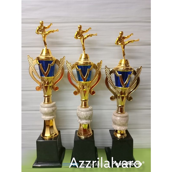 piala body 118 FG pencak silat