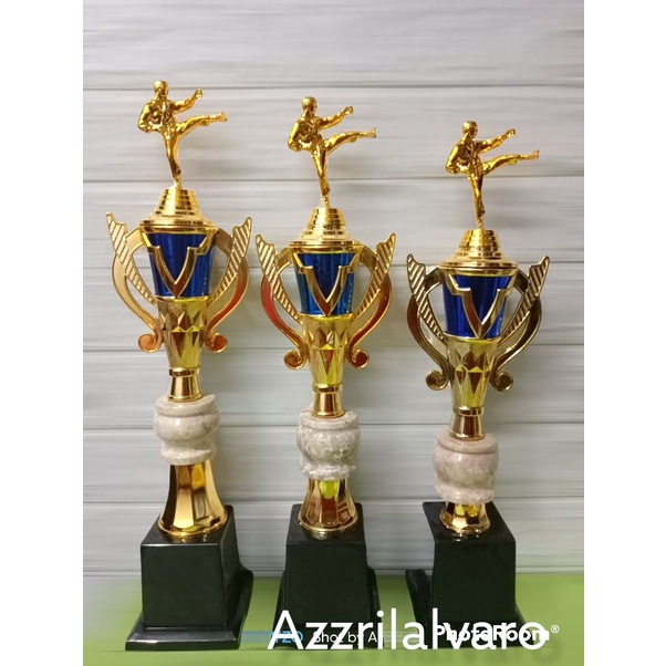 piala body 118 FG pencak silat