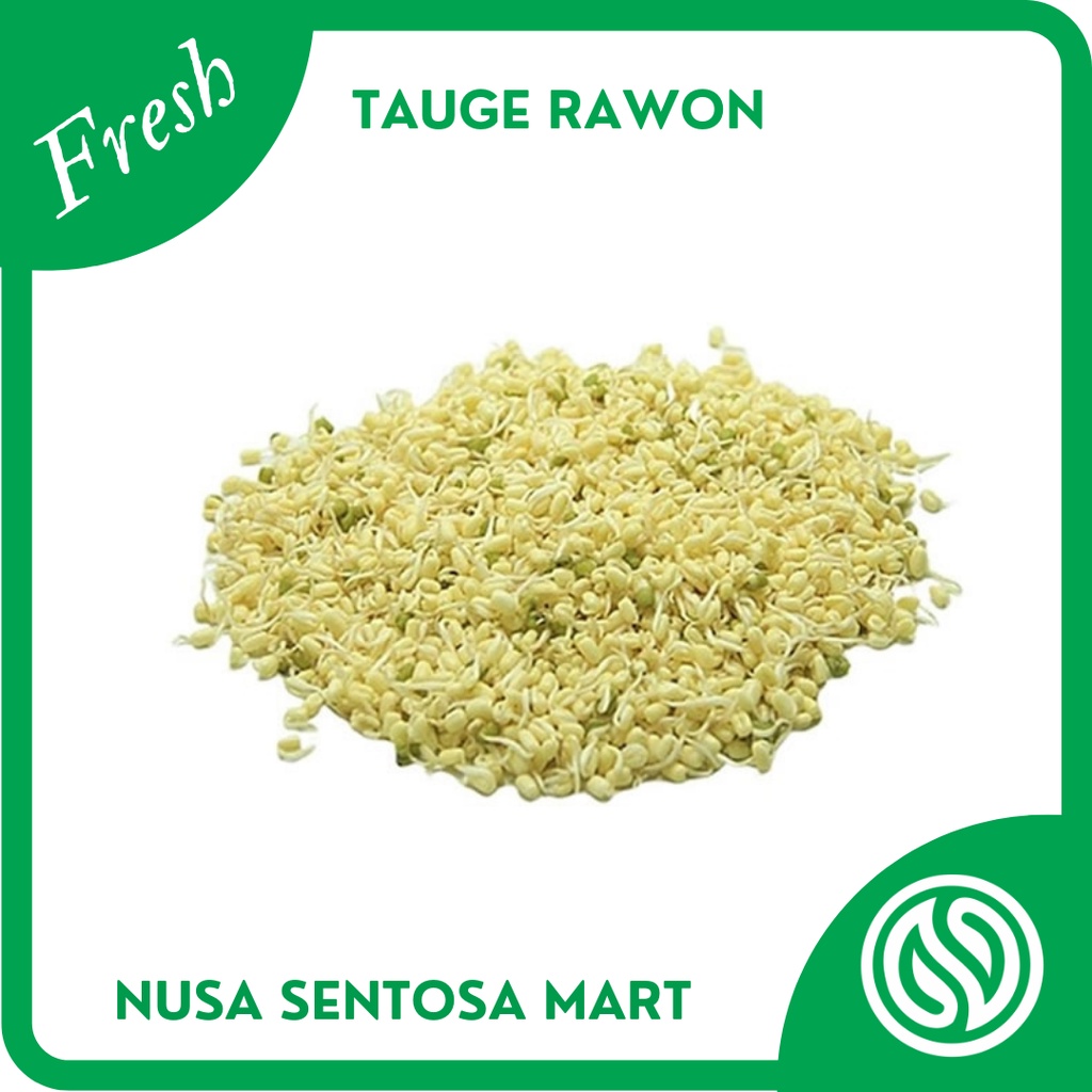

Tauge Rawon – Toge Rawon Segar – 250g