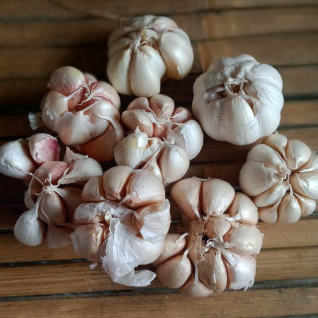 

Bawang Putih Biasa 5000 murah 1/4kg