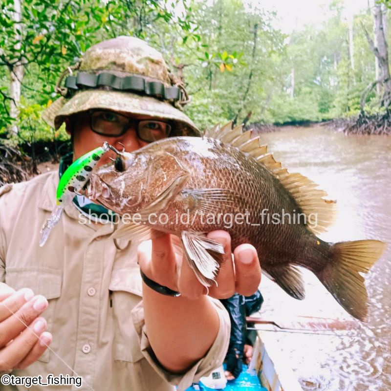 Minnow Blackbass Lidah Panjang 7,5gram - Umpan Casting Mangrove Jack Lure Muara