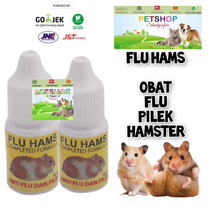 FLU HAMS OBAT FLU PADA HAMSTER