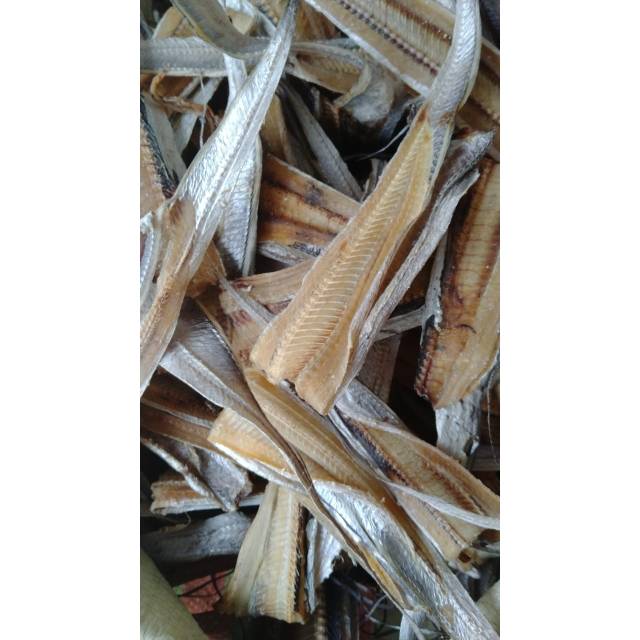 

Ikan Asin Pehu Tanjungbalai/Medan