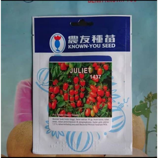 Benih Biji Bibit Tomat Cherry F1 JULIET 100 biji