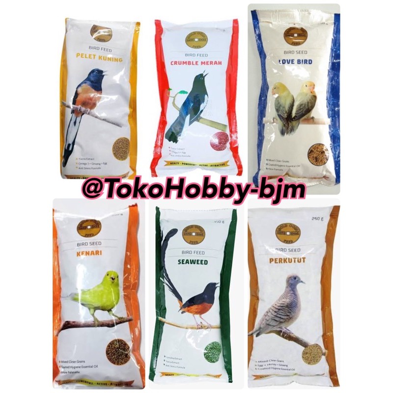 Harga Gold Coin Lovebird Terbaik Agustus 2021 Shopee Indonesia