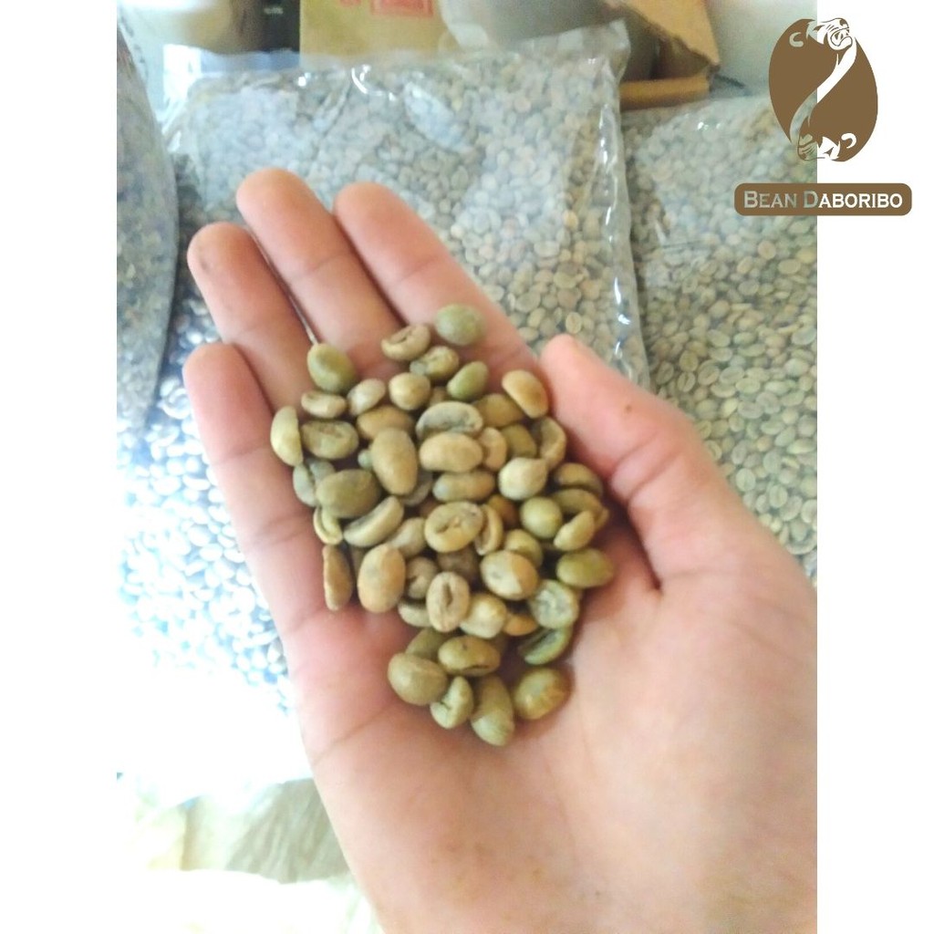 

GREENBEAN ROBUSTA GUNUNG MUJUR
