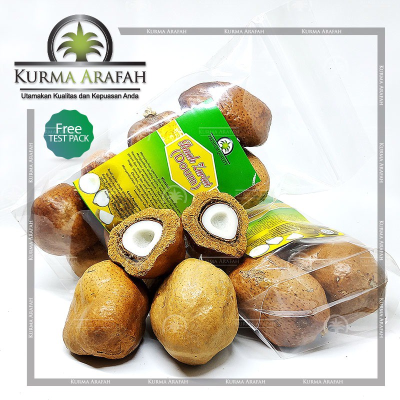 Buah Zuriat Mesir 1kg /  Zuriat Promil ORIGINAL