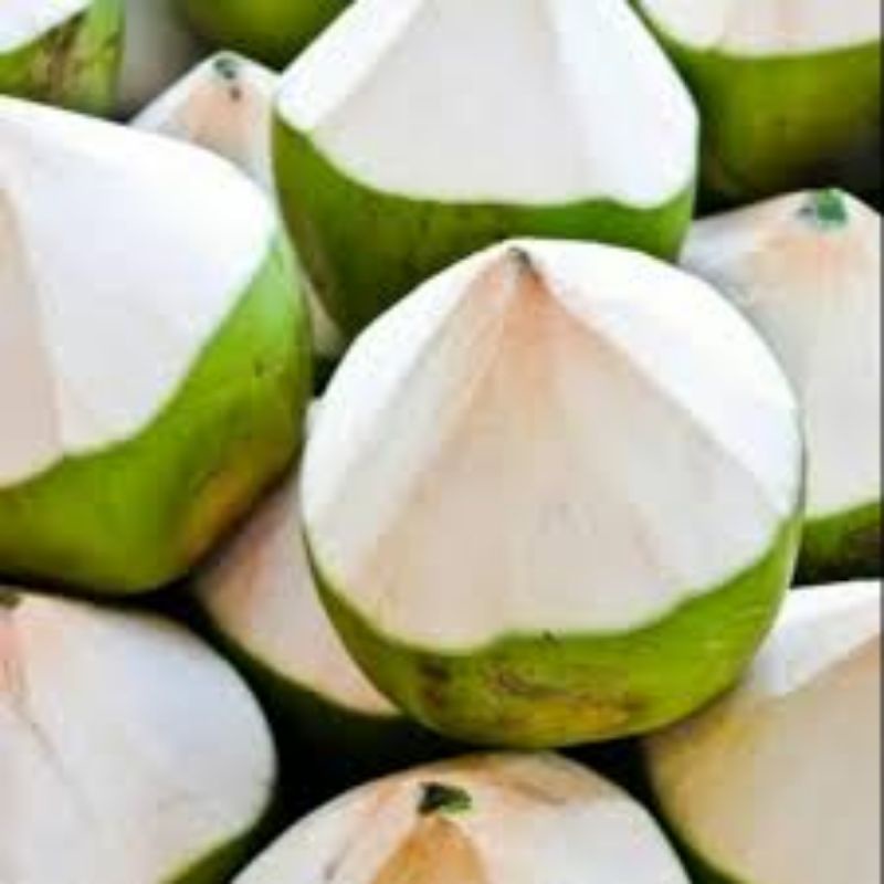 

kelapa muda kupas murah fress