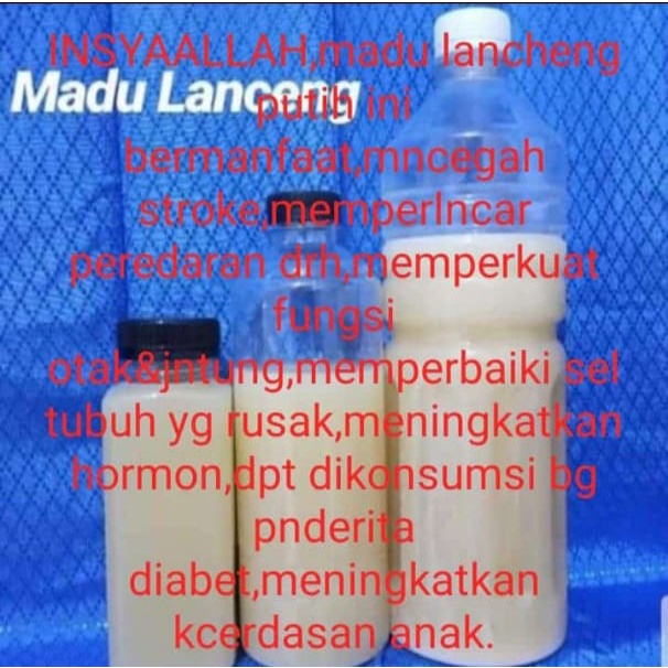 Madu Lanceng Putih 100% Madu Asli