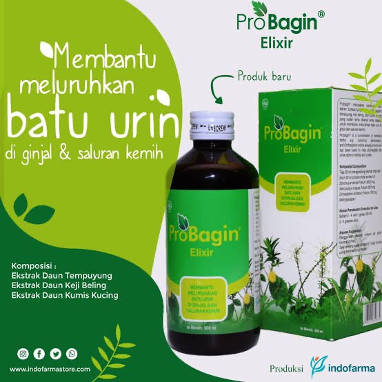 Probagin Elixir 300 ml untuk membantu mengatasi batu ginjal