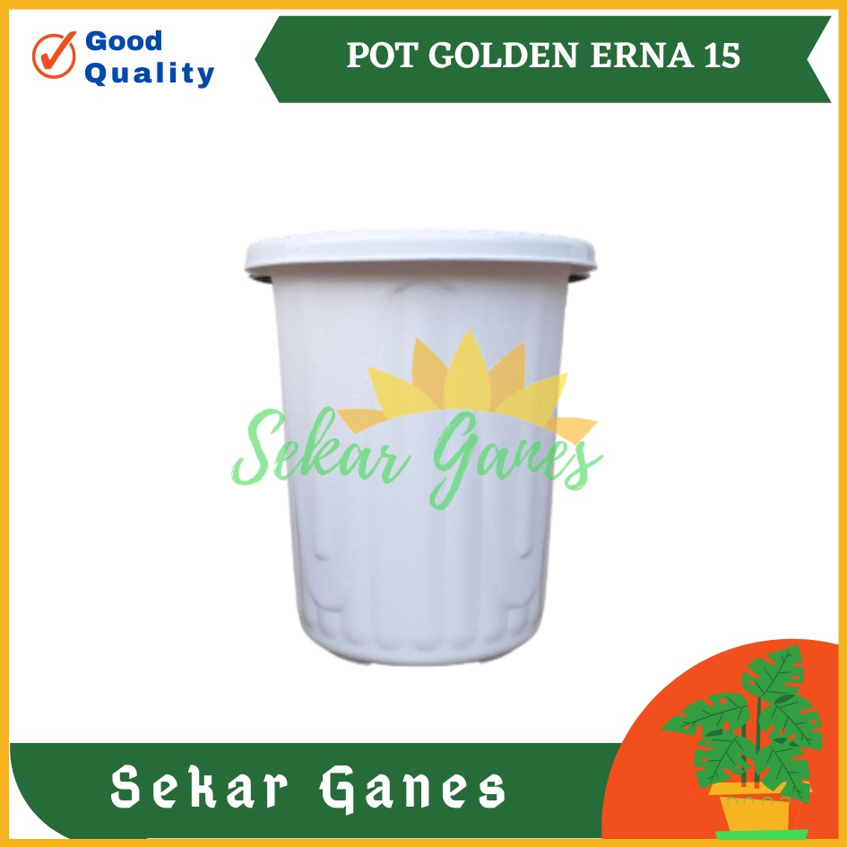 Pot GE15 Golden Erna 15 Putih Bening Transparan Hitam Merah Bata Coklat Terracota Terracotta Garden Of Love Mirip Pot Yogap Ypt 10 13 15 Putih Coklat Merah Bata Bening Transparan Pot Yogap 17 18 19 Pot Yogap Murah Pot Bunga Tinggi Pirus Tegak Bagus Tebal