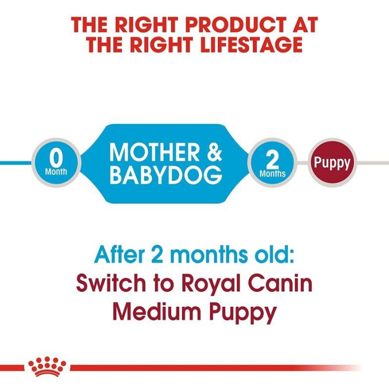 Royal Canin Medium Starter 4kg Freshpack - Medium Starter Mother &amp; Baby Dog Dry Dog Food Royal Canin