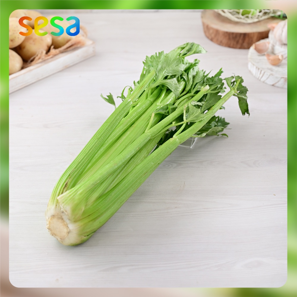 

SELEDRI Stick 1kg - Sayuran Rempah Fresh Segar