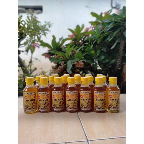 

Madu Hutan Jawa Liar