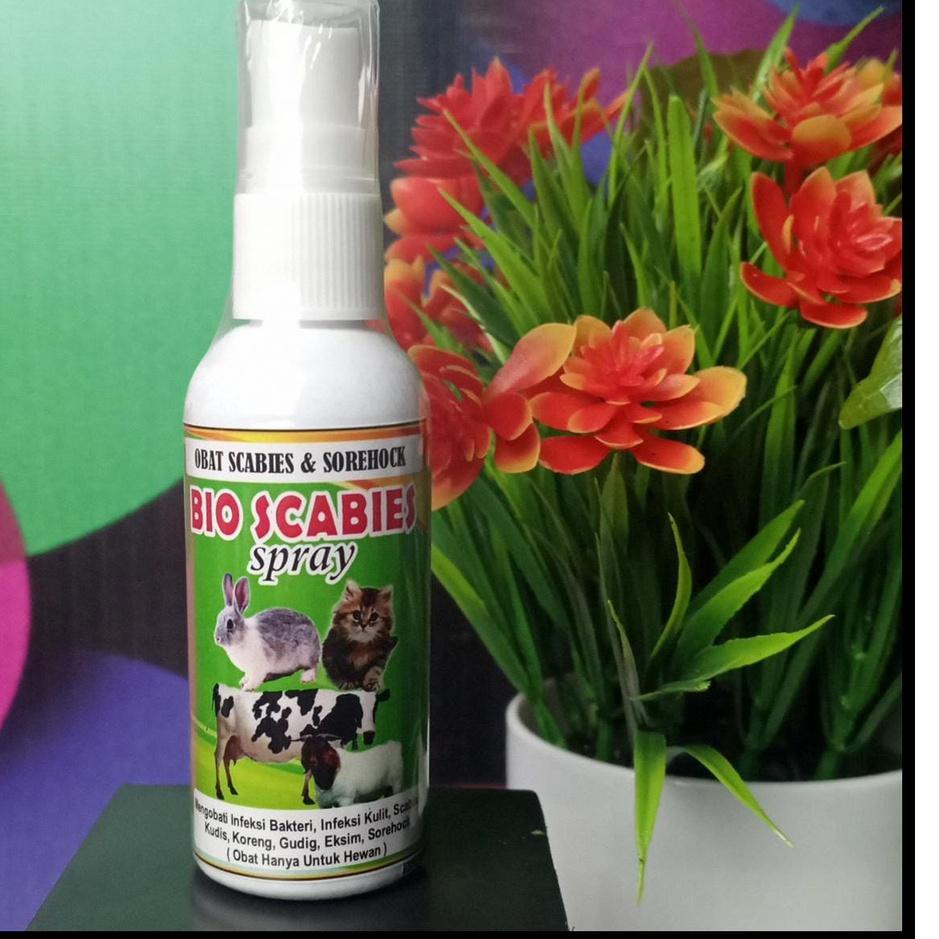 Terbaru.. Obat Sorehock Kelinci, Obat GUDIG UNTUK KELINCI, Obat Koreng HEWAN, Obat Scabies Kucing, A